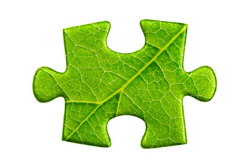 puzzle pieces on white background