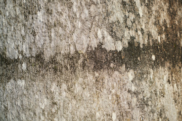 texture of old wall