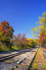 秋のインクライン