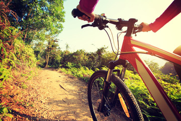 Fototapeta na wymiar cyclist hands riding mountain bike on forest trail