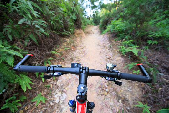 riding mountain bike on forest trail