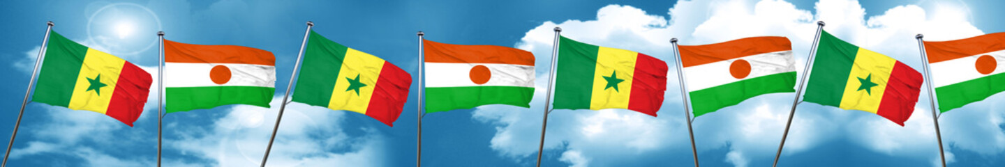 Fototapeta na wymiar Senegal flag with Niger flag, 3D rendering