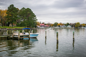 Fototapeta na wymiar Autumn Color the Chesapeake Bay Shore and Harbor in St Michaels