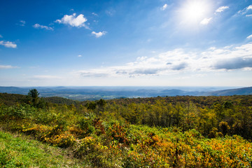 Colorful Leaves in Shenandoah National Park During high Fall Col