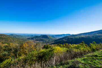Colorful Leaves in Shenandoah National Park During high Fall Col