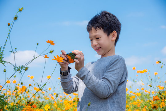 Young asian boy taking photo of flower by smart phone