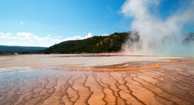 Grand Prismatic Spring during the day in the Midway Geyser Basin in Yellowstone National Park in Wyoming USA