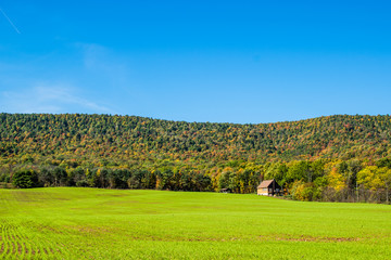 Lush Farmland Roads Flowing Around Raystown Lake, in Pennsylvani