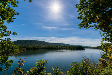 Lush Vegetation Around Raystown Lake, in Pennsylvania During Sum