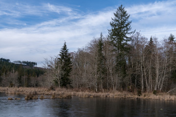Fototapeta na wymiar Beaver Pond In Winter