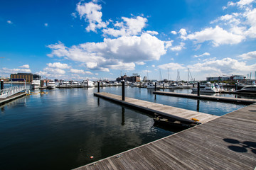 Fototapeta na wymiar Pier Homes Waterfront in Federal Hill in Batimore, Maryland