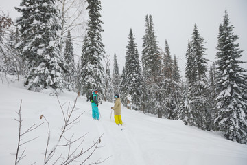 Freeride skier in the forest