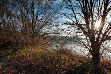 Morning Sun with View to Reindersmeer/ Netherlands