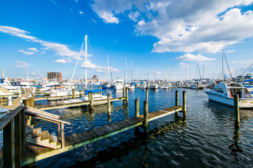 Fototapeta premium Union Wharf Waterfront in Fells Point in Batimore, Maryland