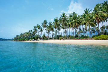 Fototapeta premium Tropical beach and coconut palms in Koh Samui, Thailand