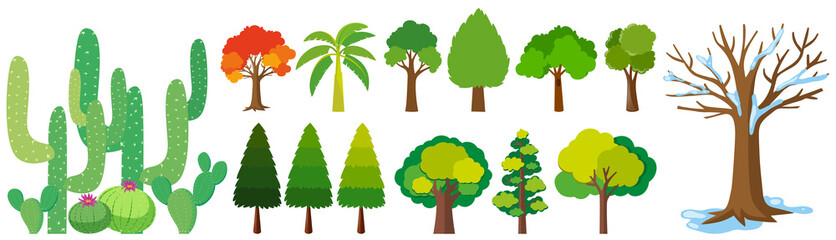 Different types of trees