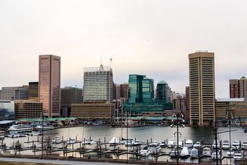 Fototapeta na wymiar Waterfront of Skyline from Federal Hill Baltimore, Maryland look
