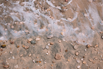 Closeup of the sand with stones and shells of the Indian ocean beach 