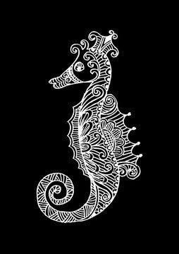 Decorative outline seahorse illustration