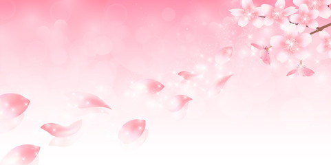 Fototapeta premium 桜 春 花 背景