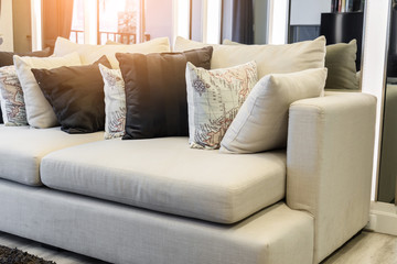 contemporary interior of Living room with part of sofa in sunny