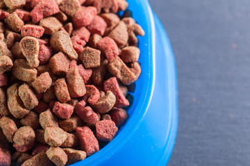 pets food on the floor