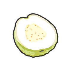 Guava Vector Icon