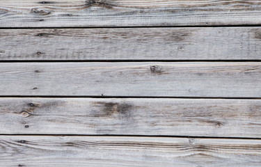 текстура дерева © nikolay_alekhin