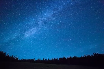 Fotobehang Nacht Blauwe donkere nachtelijke hemel met veel sterren boven het veld van bomen. Yellowstone-park. Melkweg kosmos achtergrond