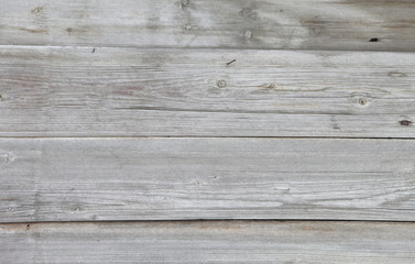 текстура дерева © nikolay_alekhin