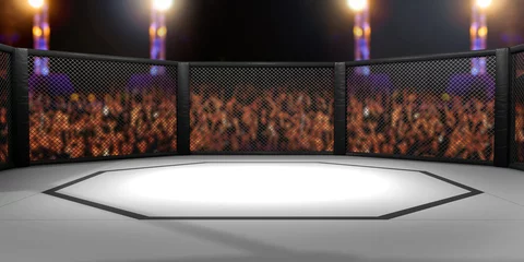 Foto auf Acrylglas Kampfkunst 3D übertrug Illustration eines MMA, gemischte Kampfkünste, Kampfkäfigarena.