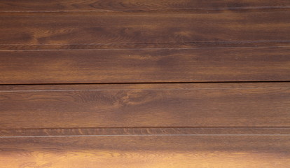 структура дерева © nikolay_alekhin