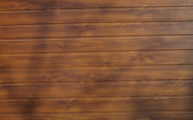 структура дерева © nikolay_alekhin