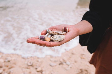 Sea shells and stones in the hand on the beach of Indian ocean, Indonesia, Bali
