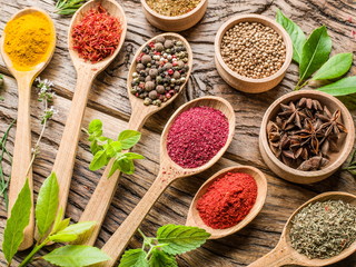 Assortment of colorful spices in the wooden spoons.