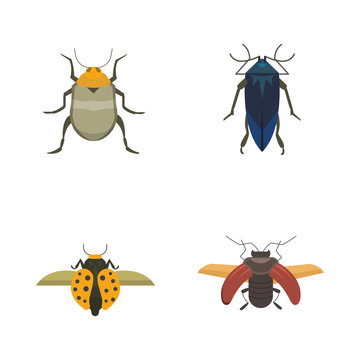 Set of insects flat style vector design icons. Collection nature beetle and zoology cartoon illustration. Bug icon wildlife concept