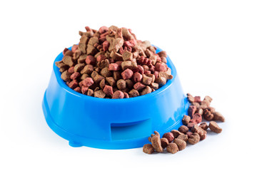 dry dog food isolated on white background