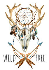 Deer skull. Animal skull with dreamcather.