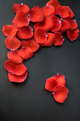 Valentine's card. Red petals on slate black background and copy space for your text.