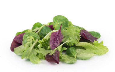 Fresh green leaves lettuce salad isolated on white background
