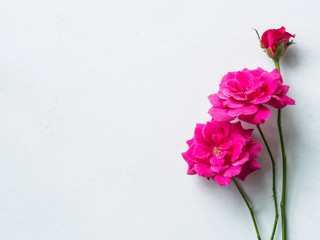 Fototapeta premium Lovely flowers on white desk background. Festive greeting card