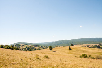 Fototapeta na wymiar Romanian mountain landscape