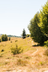 Romanian mountain landscape