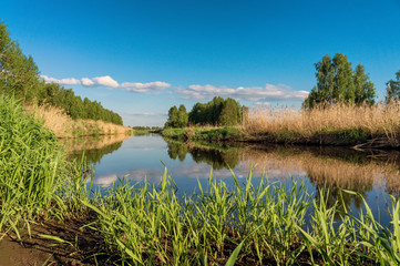 Surface of the river on a background of green grass and blue sky.