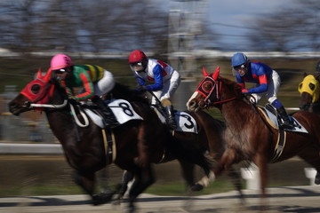 競馬