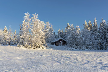 Cabin in winter landscape