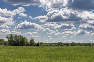 Village. Summer landscape.