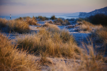 Fototapeta premium La Plage Normande en Hiver