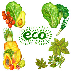 Raster watercolor and pencil eco products set isolated on white. Food, catering, healthy lifestyle and fitness themes, image for covers, boxes and printed goods.