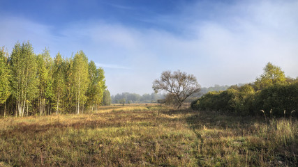 Autumn meadow.